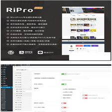 带美化包的RiPro 4.6版资源下载模板 WordPress主题模板 官方售价400元