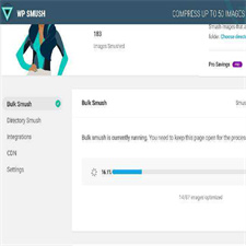 WordPress插件WPSmushProv3.7.0图片上传压缩插件WordPress图像优化插件