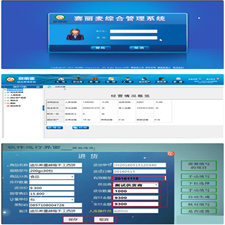 【赛丽麦进销存软件V0.99-9】开源+固定资产管理+人事管理+库存查询等功能