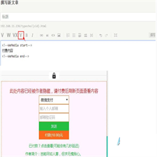 付费阅读自媒体插件源码 文章付费阅读Typecho插件源码 主要提供阅读付费功能