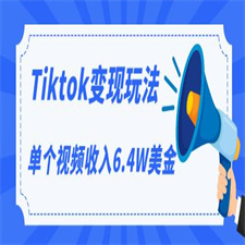 TIKTOK变现玩法，不自己拍摄视频，不露脸，单个视频收入6.4W美金（视频+文档）