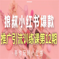 狼叔小红书爆款推广引流训练课第12期 手把手带你玩转小红书(无水印)