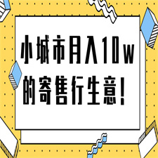 小城市月入10w的寄售行生意 【视频教程】