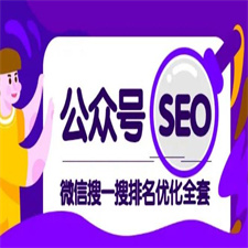 公众号SEO-微信搜一搜排名优化课，每日被动精准引流上百