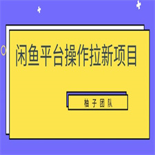 柚子团队《闲鱼平台操作拉新项目》单笔起步利润100+