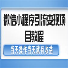 微信小程序引流变现项目教程 当天操作当天就有收益，变现不再是难事