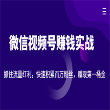 微信视频号赚钱实战：抓住流量红利，快速积累百万粉丝，赚取你的第一桶金